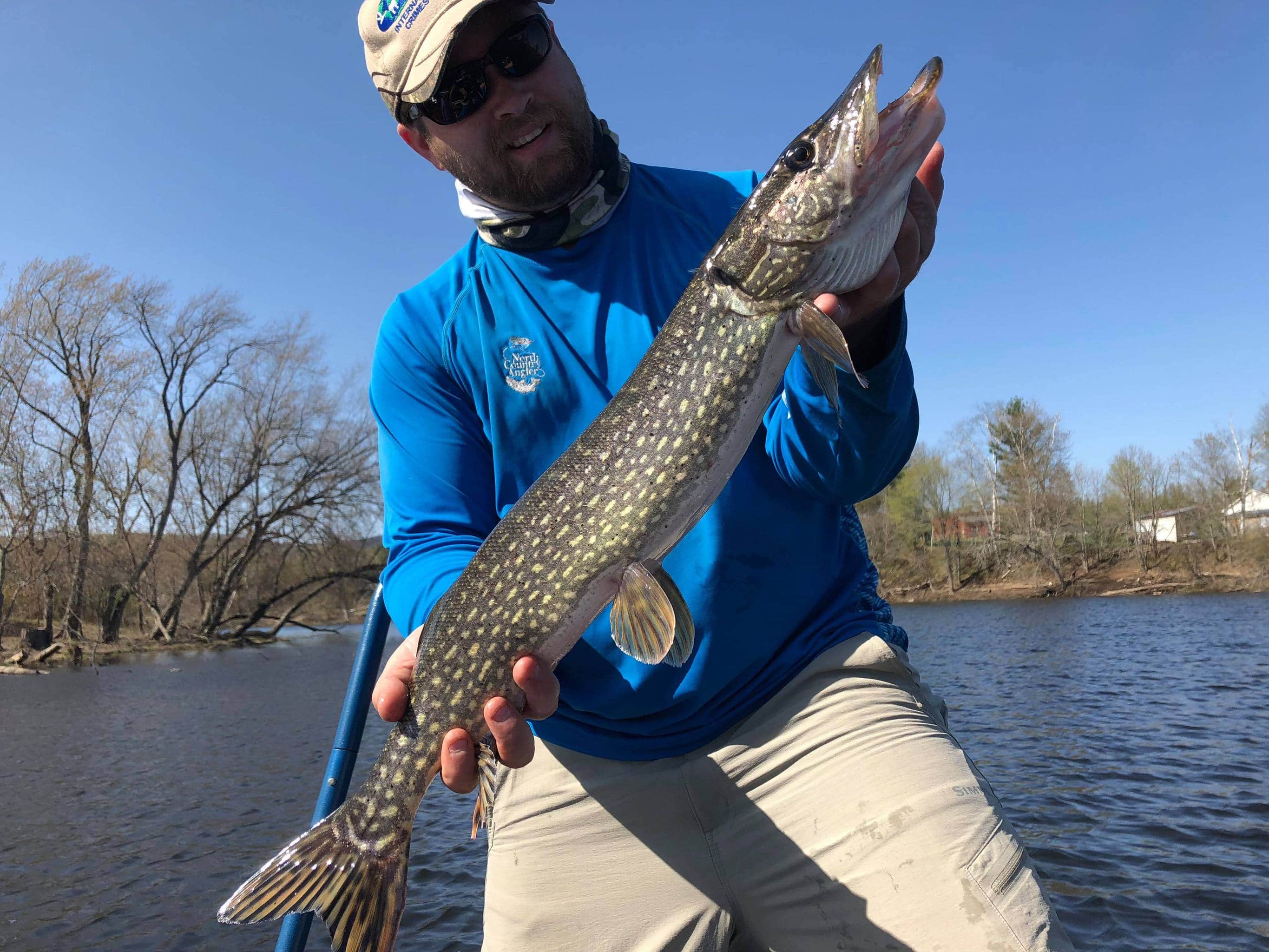 Northern Pike and Bass, Guided Fly Fishing Adventures, White Mountain  Anglers