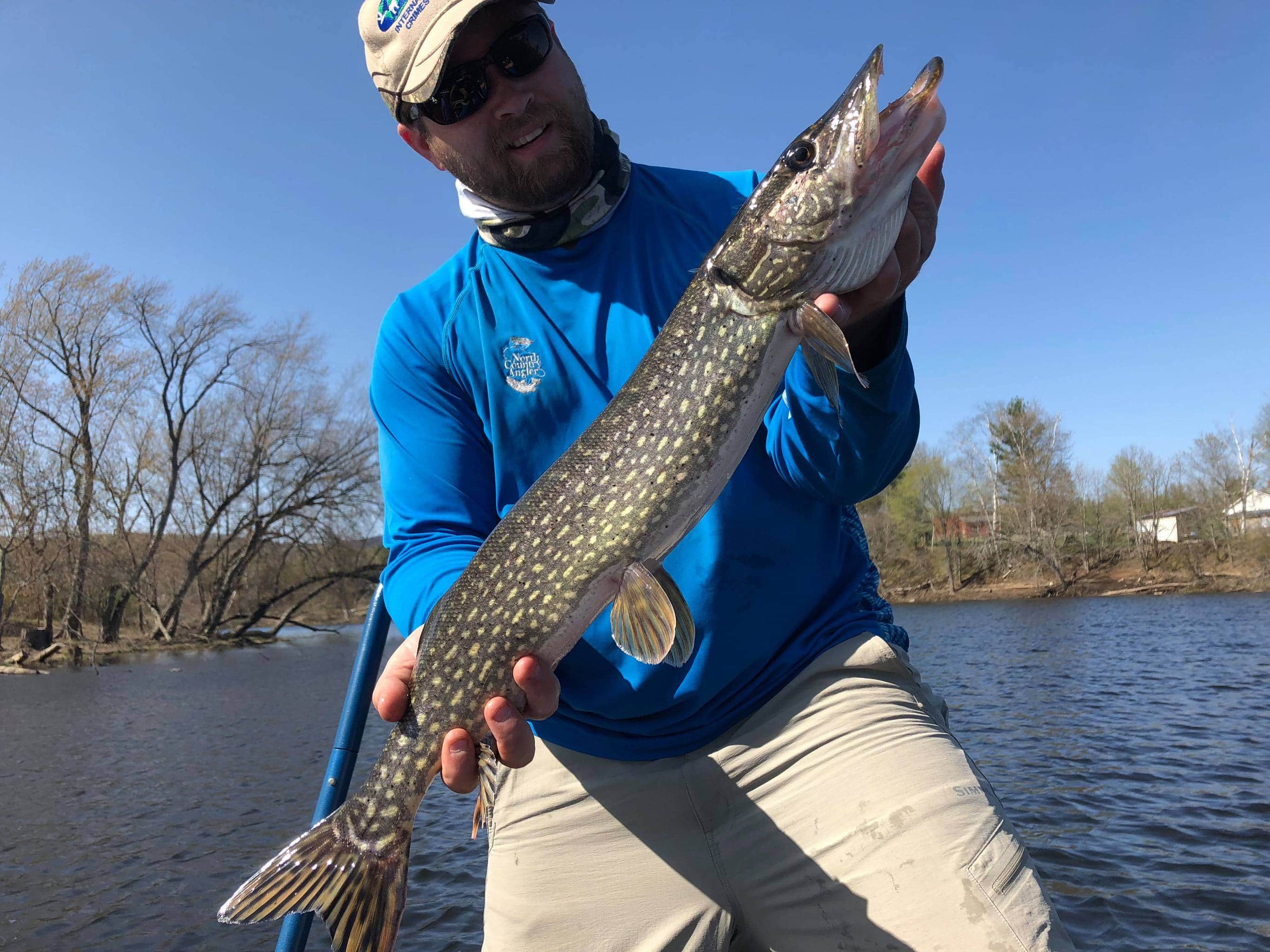 Pickerel Fishing 