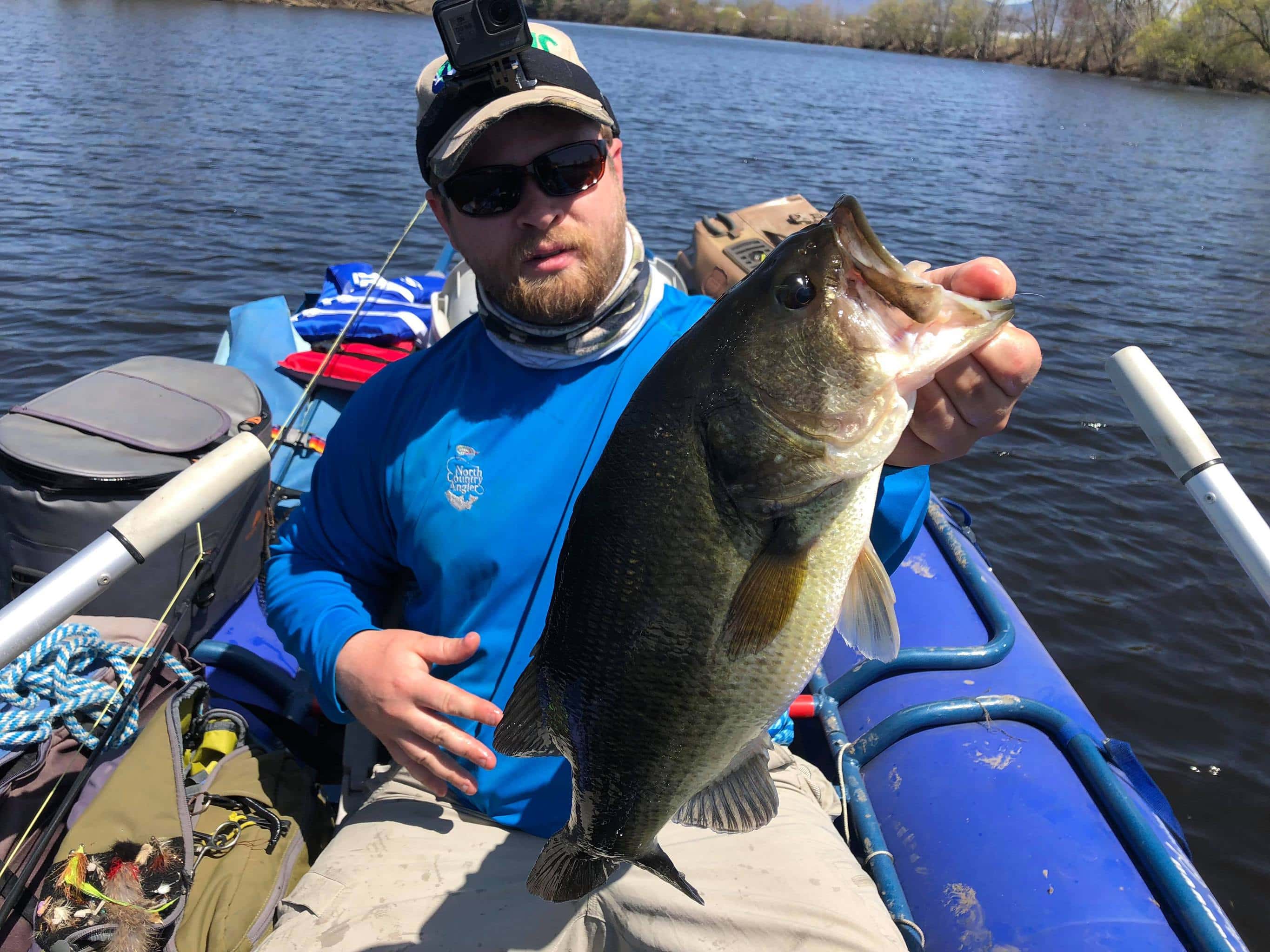 Northern Pike and Bass, Guided Fly Fishing Adventures