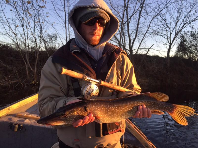 Northern Pike and Bass, Guided Fly Fishing Adventures