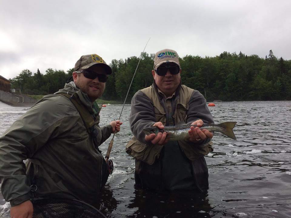 Golden Retriever  Dan's Fly Shop and Guide Service - Fishing the  Androscoggin in New Hampshire