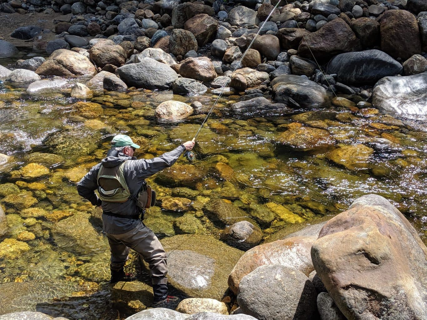 White Mountain National Forest Wild Eastern Brook Trout White