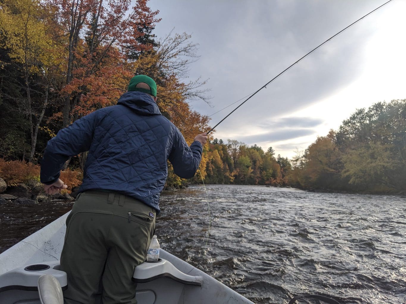 White Mountain National Forest, Wild Eastern Brook Trout