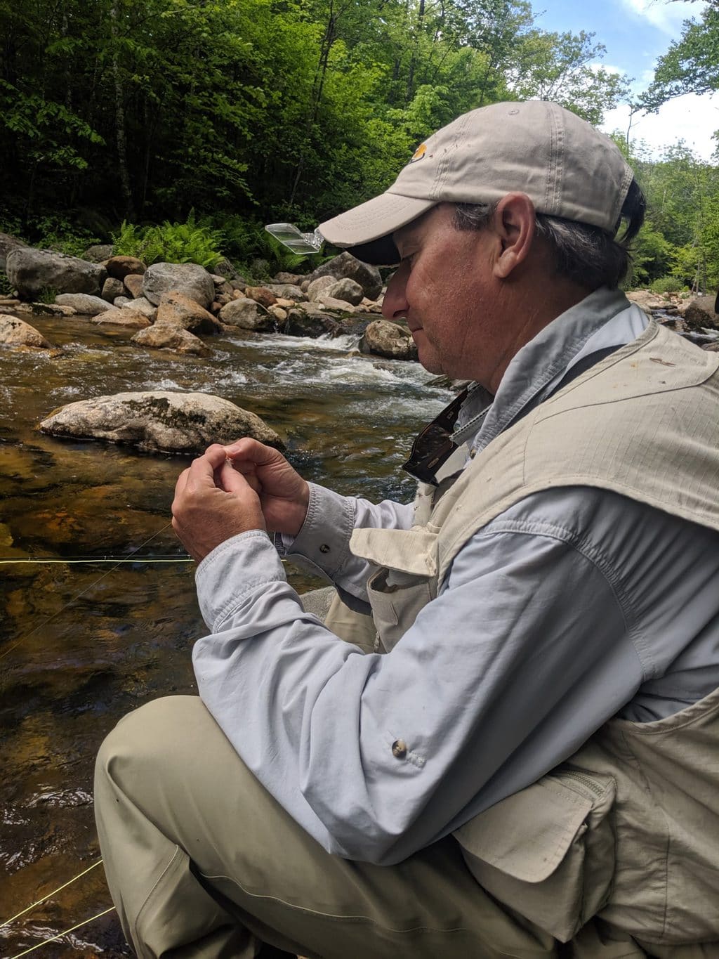 White Mountain National Forest, Wild Eastern Brook Trout